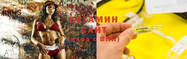 трава Белокуриха
