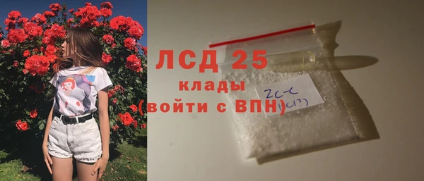 трава Белокуриха