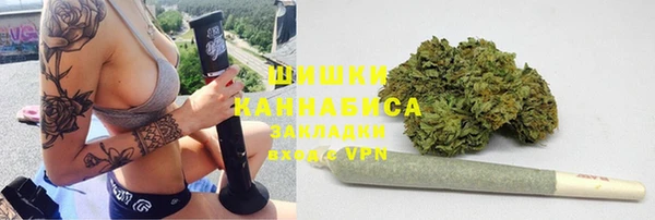 трава Белокуриха
