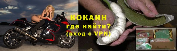 трава Белокуриха