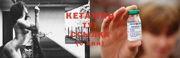 трава Белокуриха