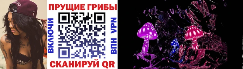 дарк нет какой сайт  Елизово  Псилоцибиновые грибы Psilocybe  kraken  
