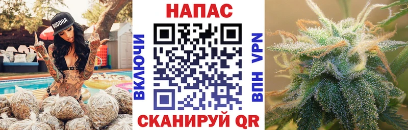 Бошки марихуана VHQ Елизово